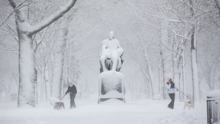 Wow, Snow